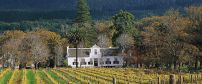 Stellenbosch Wine Route